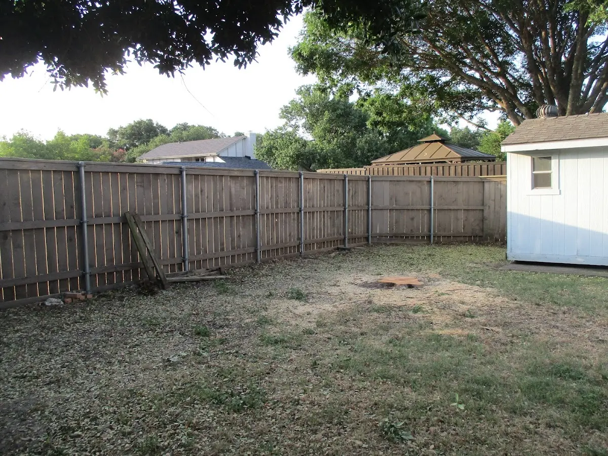 Cleared yard after professional tree removal in East Fultonham