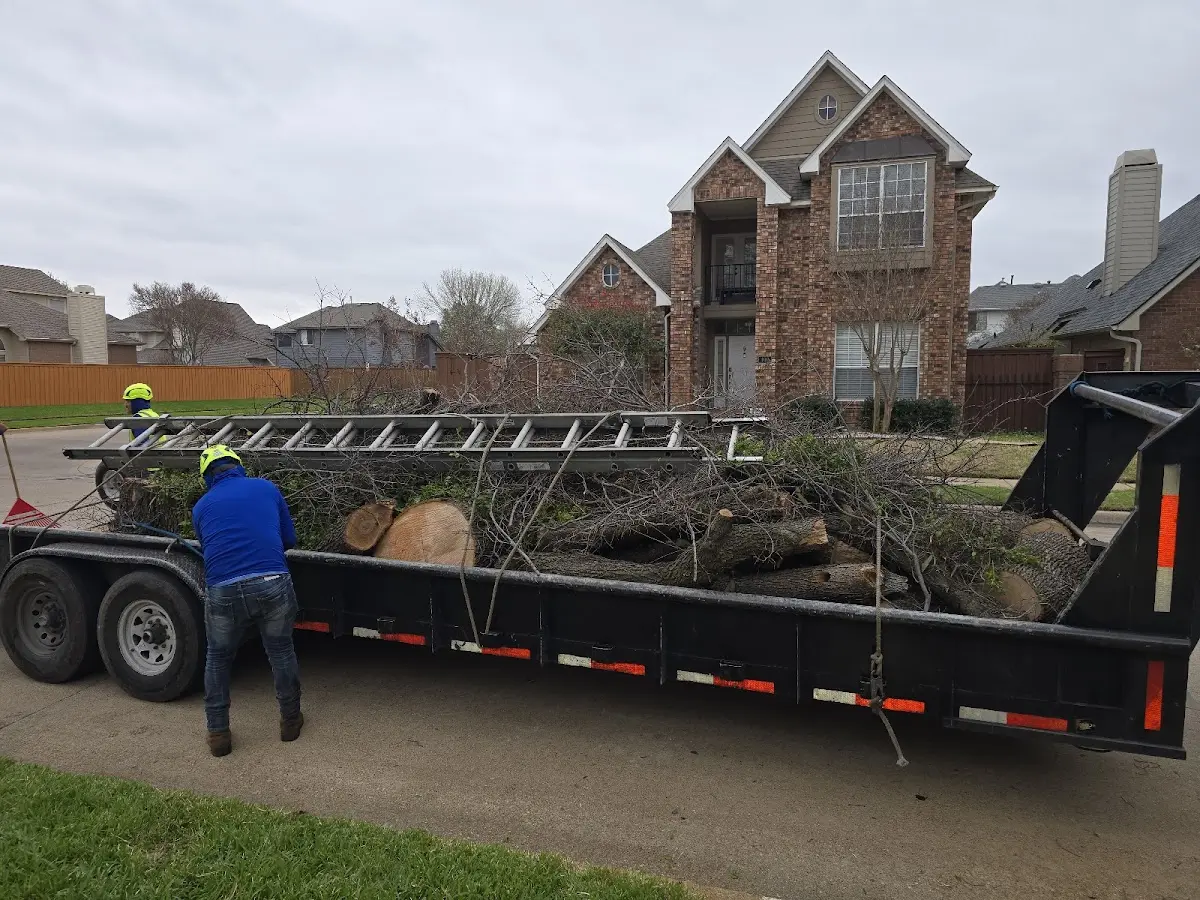 Expert Tree Pest Control with proper safety equipment in East Fultonham
